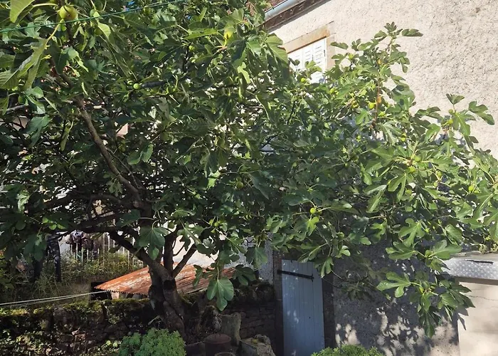 Le Relais De Campagne A 5 Min De Padirac * ミエ